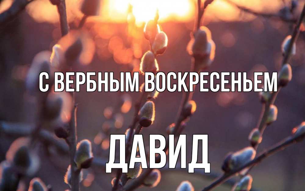 Открытка на каждый день с именем, Давид С вербным воскресеньем верба Прикольная открытка с пожеланием онлайн скачать бесплатно 