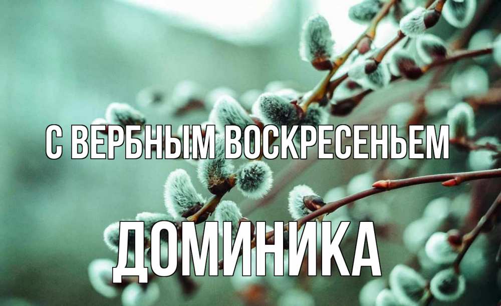 Открытка на каждый день с именем, Доминика С вербным воскресеньем верба Прикольная открытка с пожеланием онлайн скачать бесплатно 