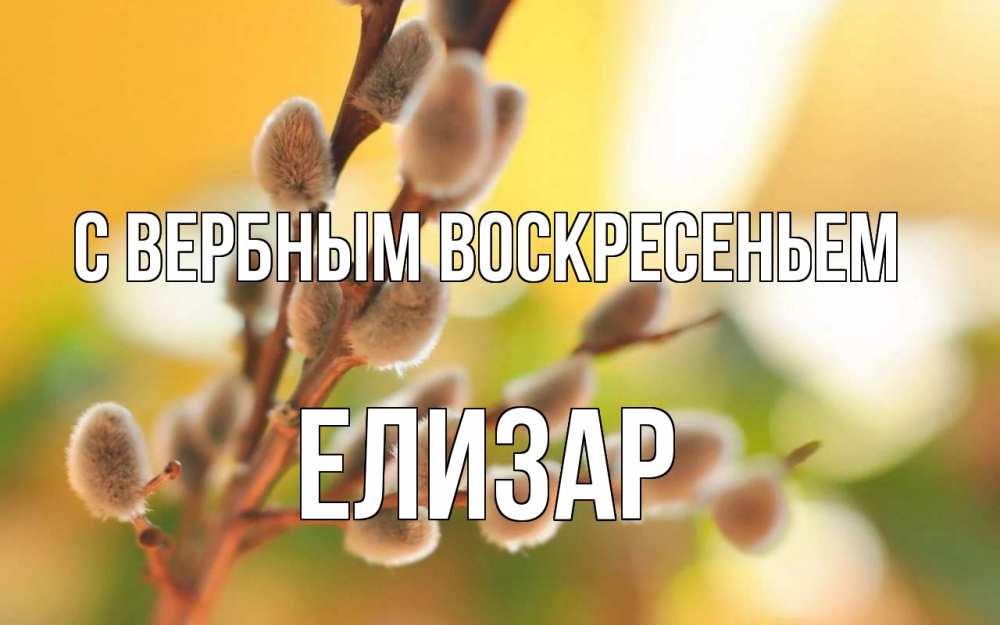 Открытка на каждый день с именем, Елизар С вербным воскресеньем верба Прикольная открытка с пожеланием онлайн скачать бесплатно 