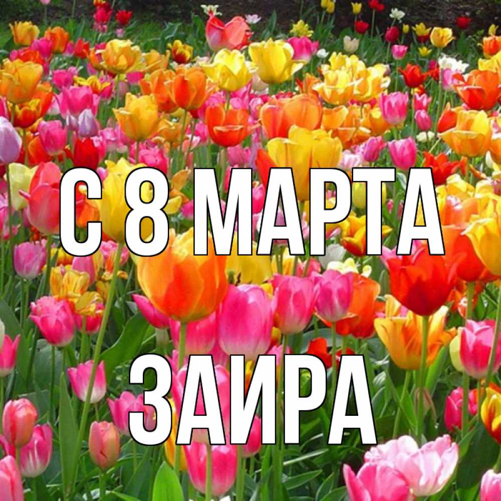 Открытка на каждый день с именем, Заира С 8 МАРТА на международный женский день Прикольная открытка с пожеланием онлайн скачать бесплатно 