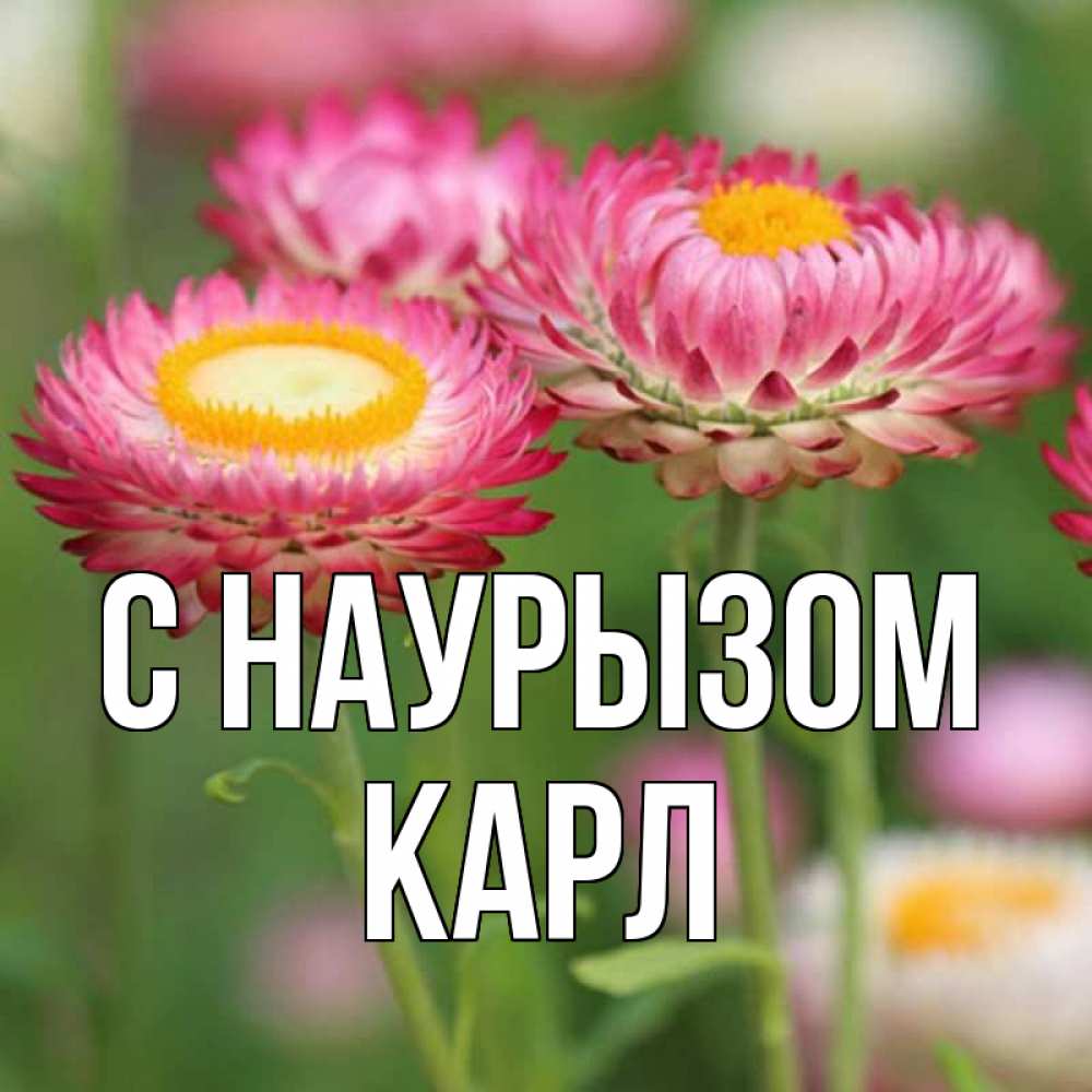 Открытка на каждый день с именем, Карл С наурызом подарок на международный женский день Прикольная открытка с пожеланием онлайн скачать бесплатно 