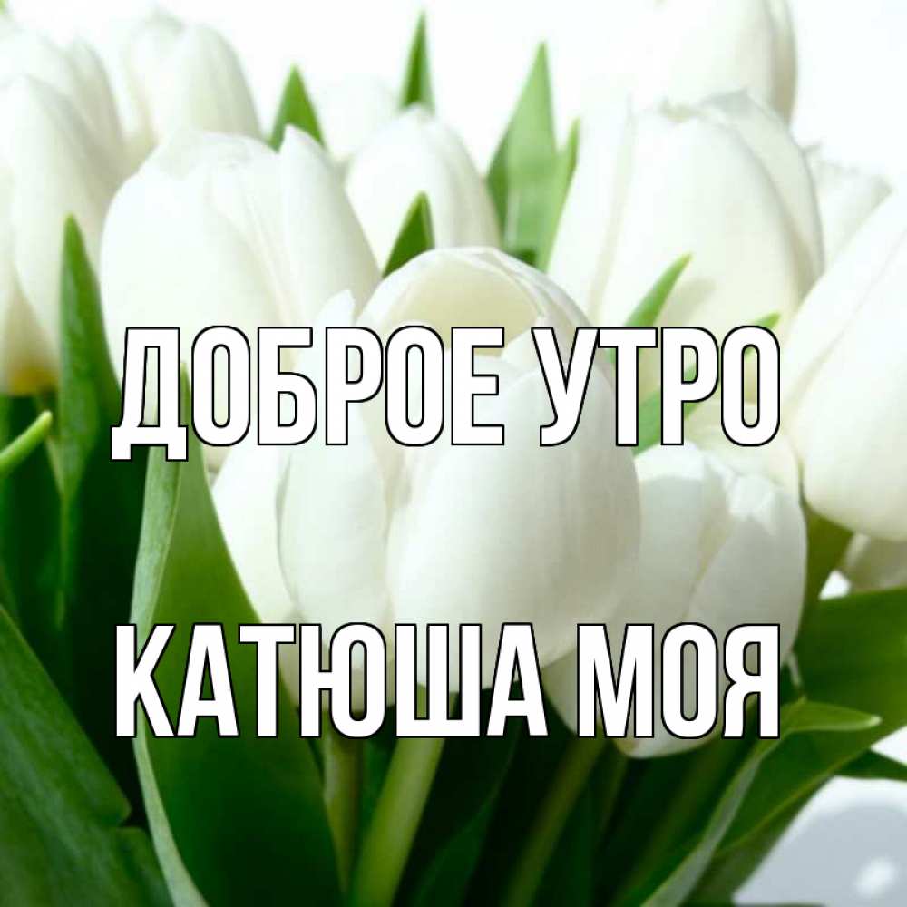 Открытка на каждый день с именем, Катюша-моя Доброе утро открытки на каждый день по именам Прикольная открытка с пожеланием онлайн скачать бесплатно 