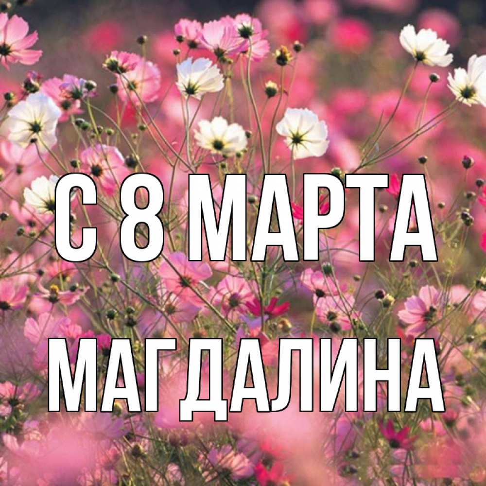 Открытка на каждый день с именем, Магдалина С 8 МАРТА красиво 1 Прикольная открытка с пожеланием онлайн скачать бесплатно 