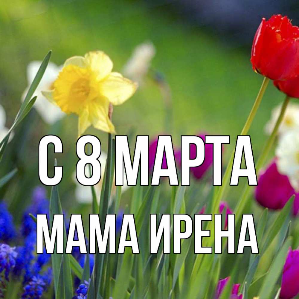 Открытка на каждый день с именем, Мама-Ирена С 8 МАРТА международный женский день 3 Прикольная открытка с пожеланием онлайн скачать бесплатно 