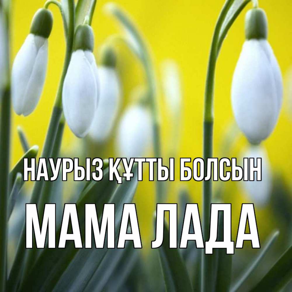 Открытка на каждый день с именем, Мама-Лада Наурыз құтты болсын весенние цветы Прикольная открытка с пожеланием онлайн скачать бесплатно 