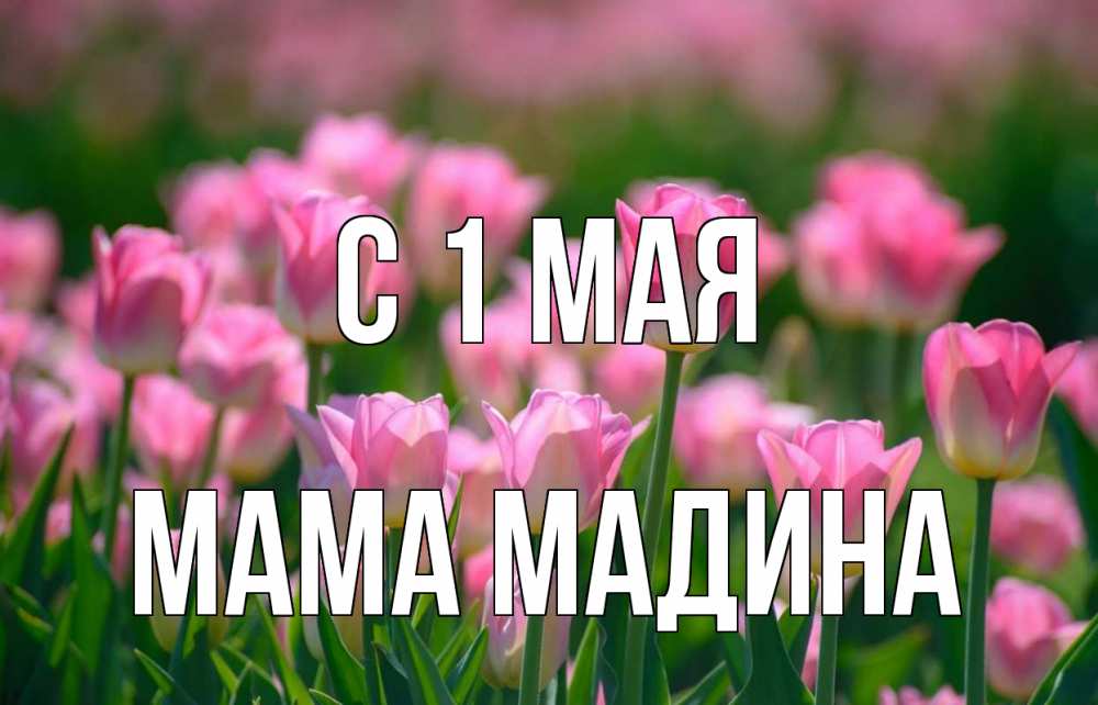 Открытка на каждый день с именем, Мама-Мадина С 1 мая С 1 мая Прикольная открытка с пожеланием онлайн скачать бесплатно 