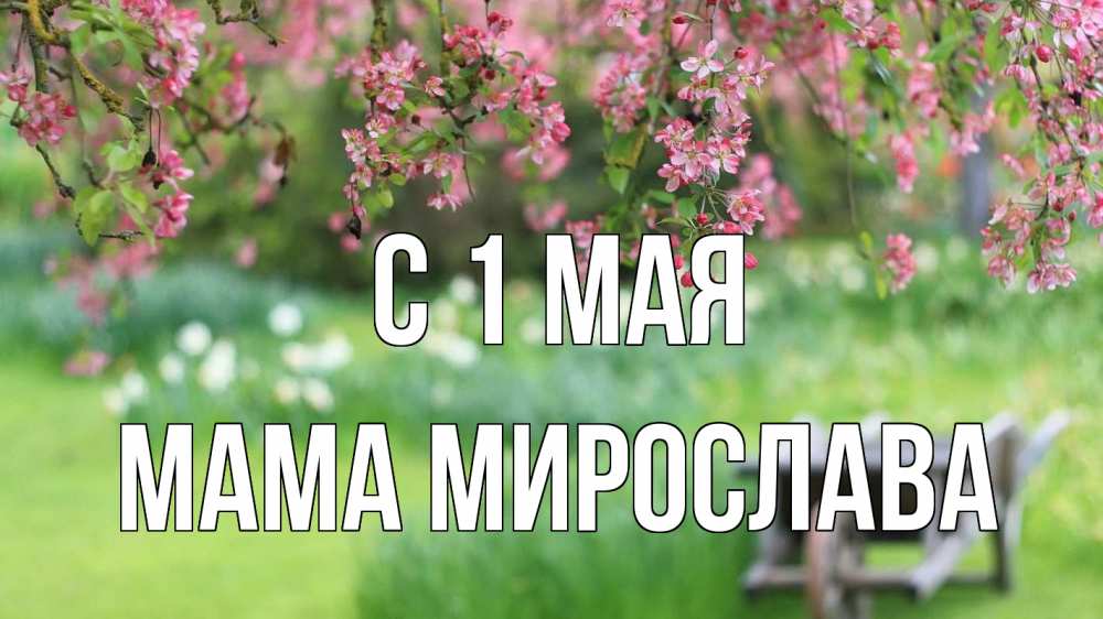 Открытка на каждый день с именем, Мама-Мирослава С 1 мая С 1 мая Прикольная открытка с пожеланием онлайн скачать бесплатно 