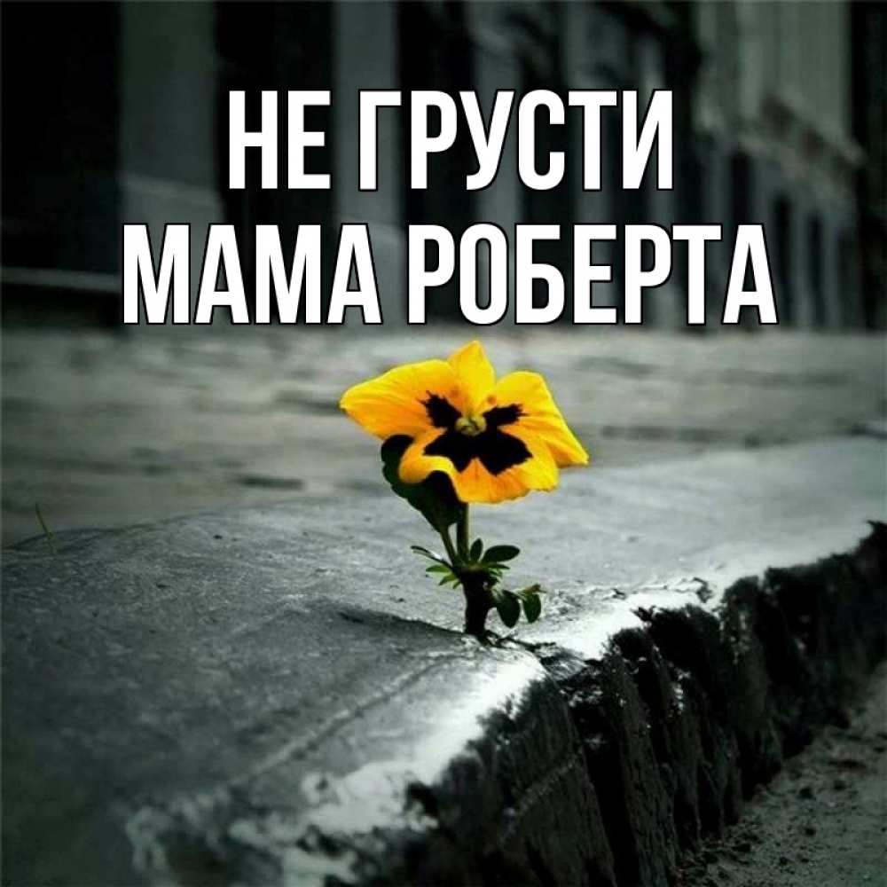 Открытка на каждый день с именем, Мама-Роберта Не грусти не сдавайся Прикольная открытка с пожеланием онлайн скачать бесплатно 