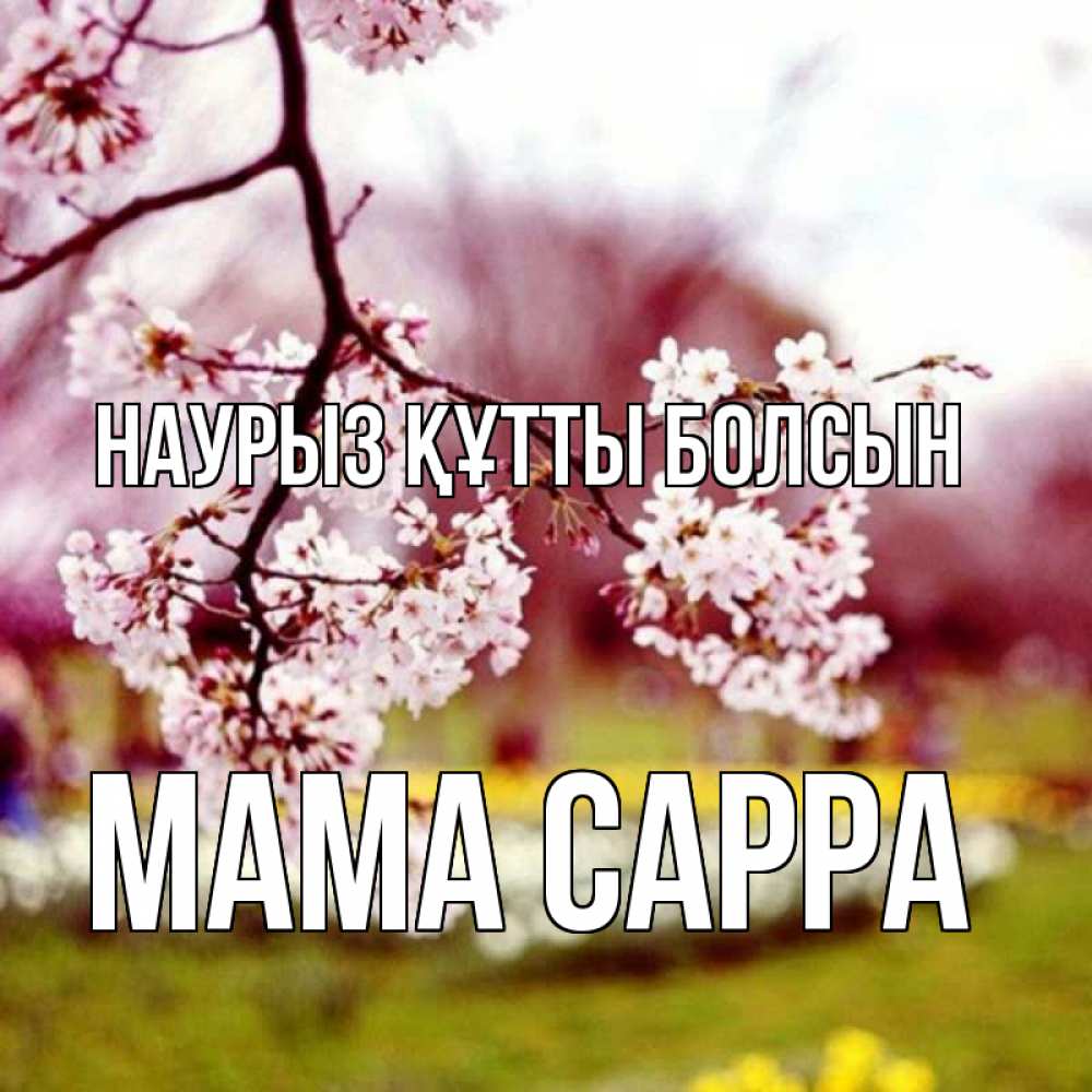 Открытка на каждый день с именем, Мама-Сарра Наурыз құтты болсын яблоня Прикольная открытка с пожеланием онлайн скачать бесплатно 