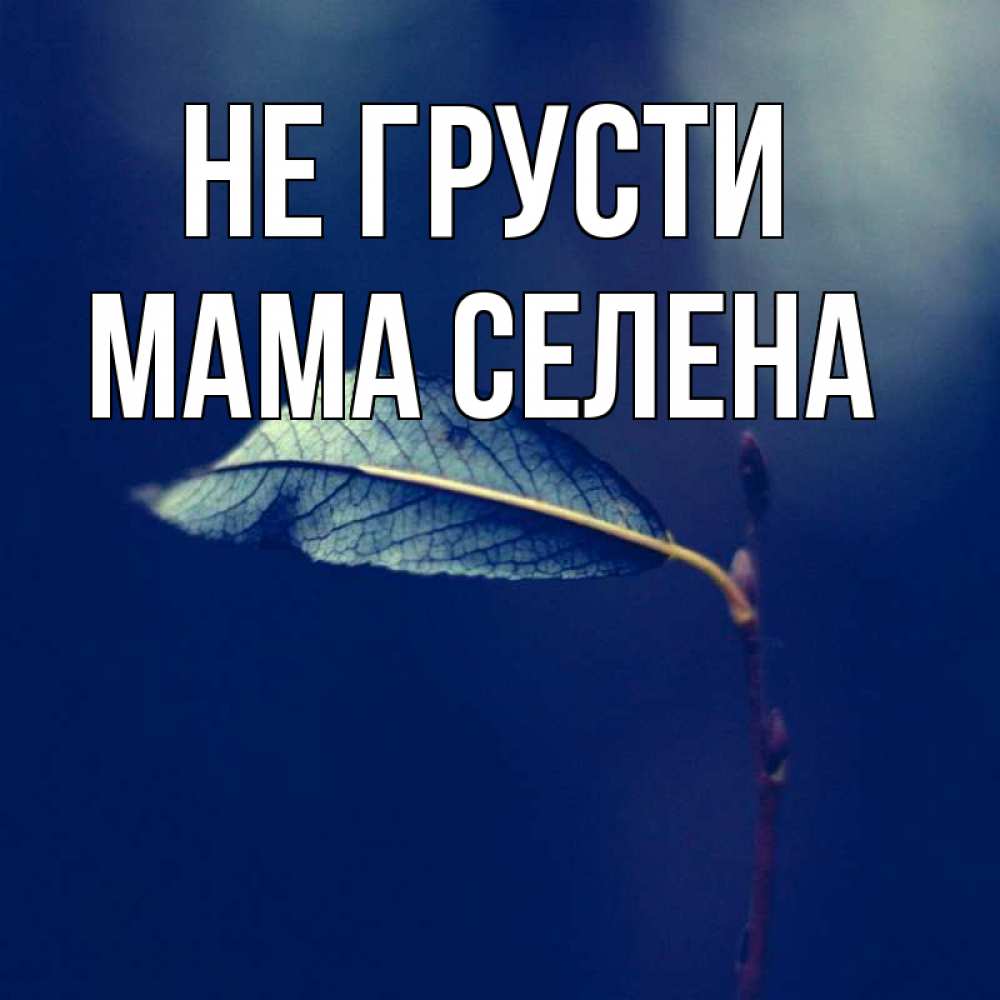 Открытка на каждый день с именем, Мама-Селена Не грусти растение Прикольная открытка с пожеланием онлайн скачать бесплатно 