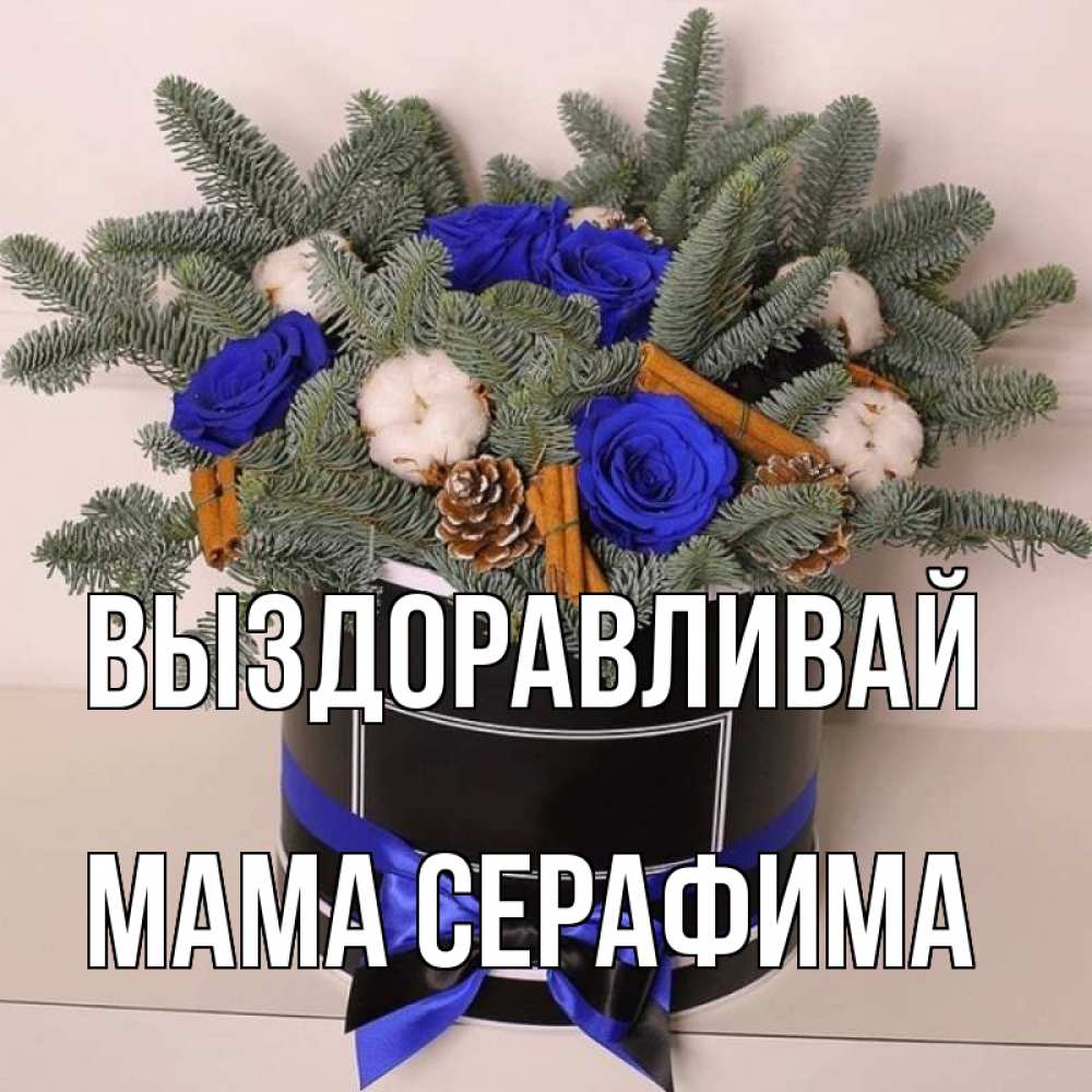 Открытка на каждый день с именем, Мама-Серафима Выздоравливай короче кто то загрузил эти шишки Прикольная открытка с пожеланием онлайн скачать бесплатно 