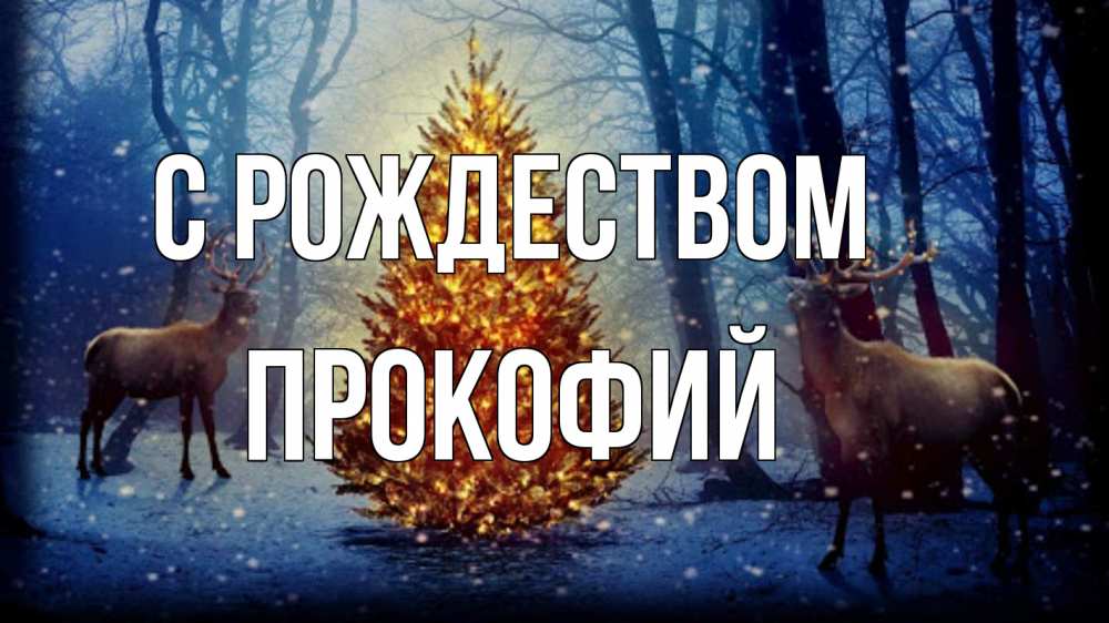 Открытка на каждый день с именем, Прокофий С рождеством олени, новогодняя елка Прикольная открытка с пожеланием онлайн скачать бесплатно 