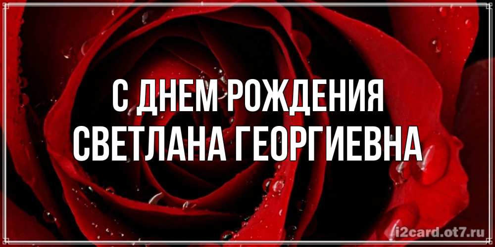 Открытка на каждый день с именем, Светлана-Георгиевна С днем рождения крупная бордовая роза Прикольная открытка с пожеланием онлайн скачать бесплатно 