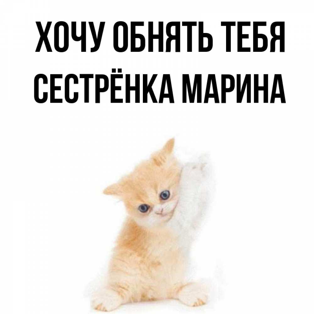 Открытка на каждый день с именем, Сестрёнка-Марина Хочу обнять тебя я хочу очень скорее обнимаешек Прикольная открытка с пожеланием онлайн скачать бесплатно 