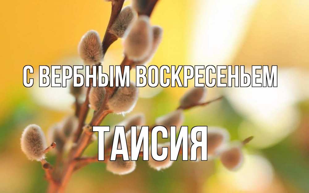 Открытка на каждый день с именем, Таисия С вербным воскресеньем верба Прикольная открытка с пожеланием онлайн скачать бесплатно 