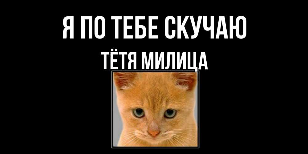 Открытка на каждый день с именем, Тётя-Милица Я по тебе скучаю открытки рыжий котенок скучает по тебе Прикольная открытка с пожеланием онлайн скачать бесплатно 