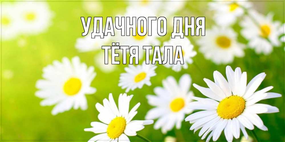 Открытка на каждый день с именем, Тётя-Тала Удачного дня открытка с ромашками на зеленом фоне Прикольная открытка с пожеланием онлайн скачать бесплатно 