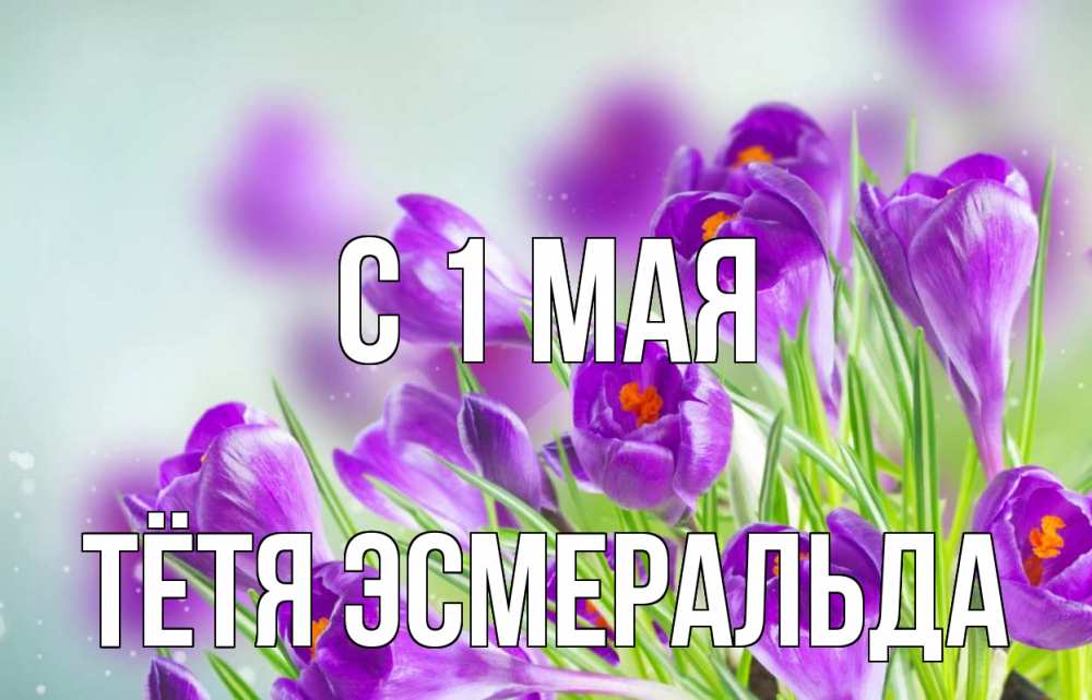 Открытка на каждый день с именем, Тётя-Эсмеральда С 1 мая 1 мая Прикольная открытка с пожеланием онлайн скачать бесплатно 