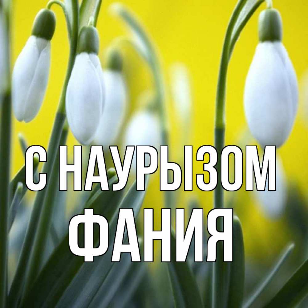 Открытка на каждый день с именем, Фания С наурызом весенние цветы Прикольная открытка с пожеланием онлайн скачать бесплатно 