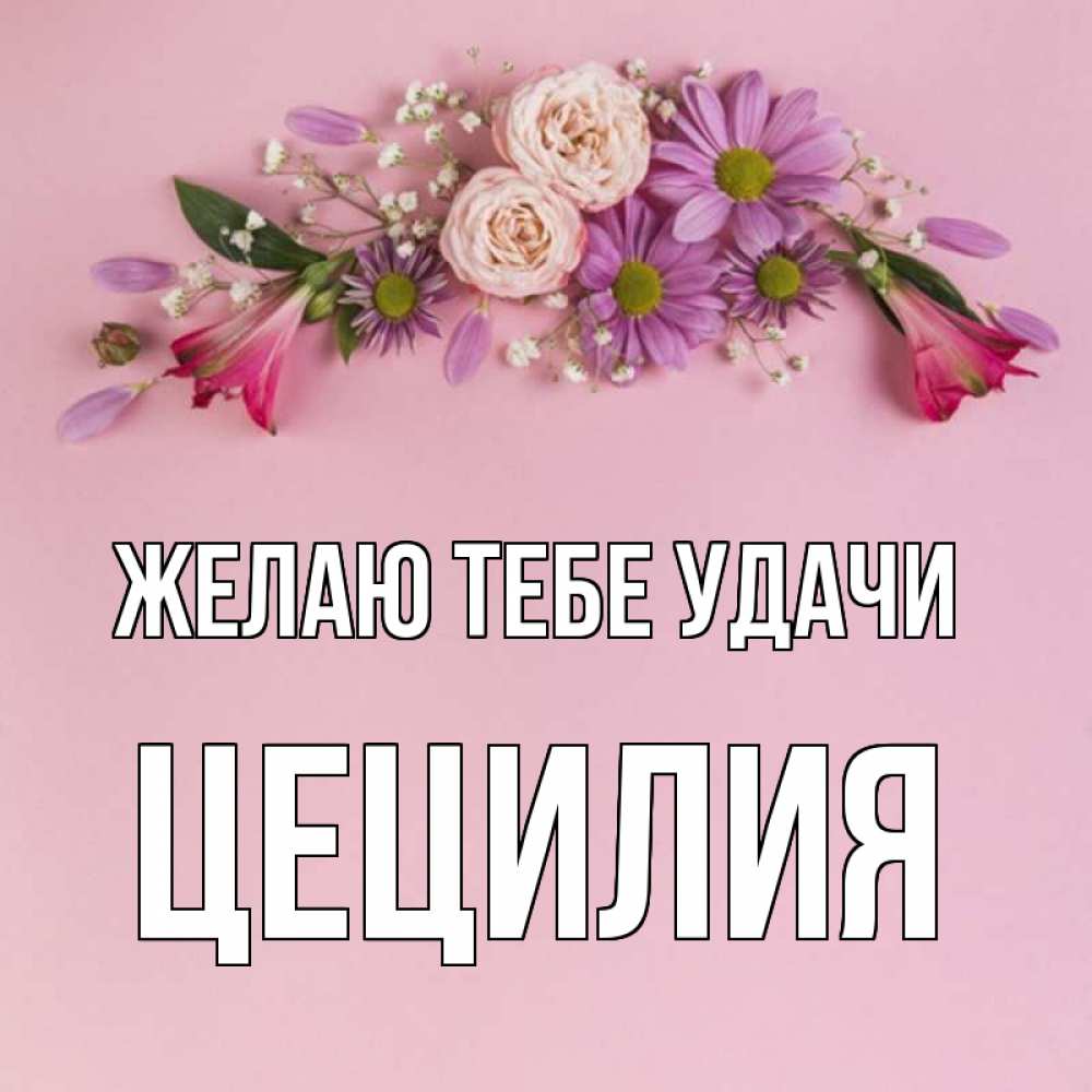 Открытка на каждый день с именем, Цецилия Желаю тебе удачи розовый фон Прикольная открытка с пожеланием онлайн скачать бесплатно 