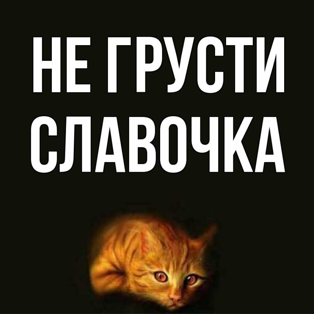Картинки славочка