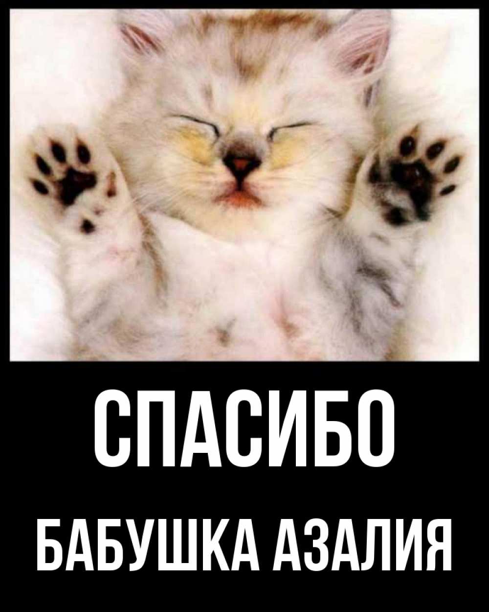 Открытка на каждый день с именем, Бабушка-Азалия Спасибо маленький котенок Прикольная открытка с пожеланием онлайн скачать бесплатно 