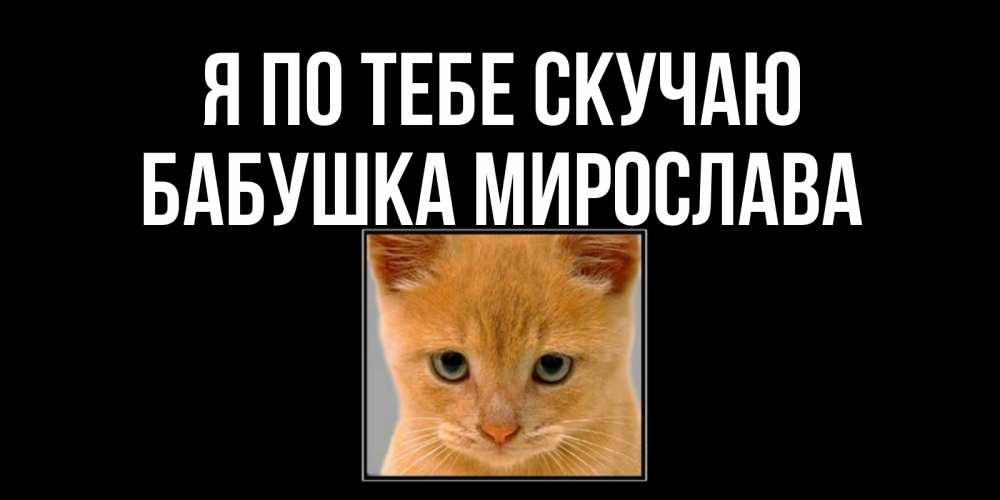 Открытка на каждый день с именем, Бабушка-Мирослава Я по тебе скучаю открытки рыжий котенок скучает по тебе Прикольная открытка с пожеланием онлайн скачать бесплатно 