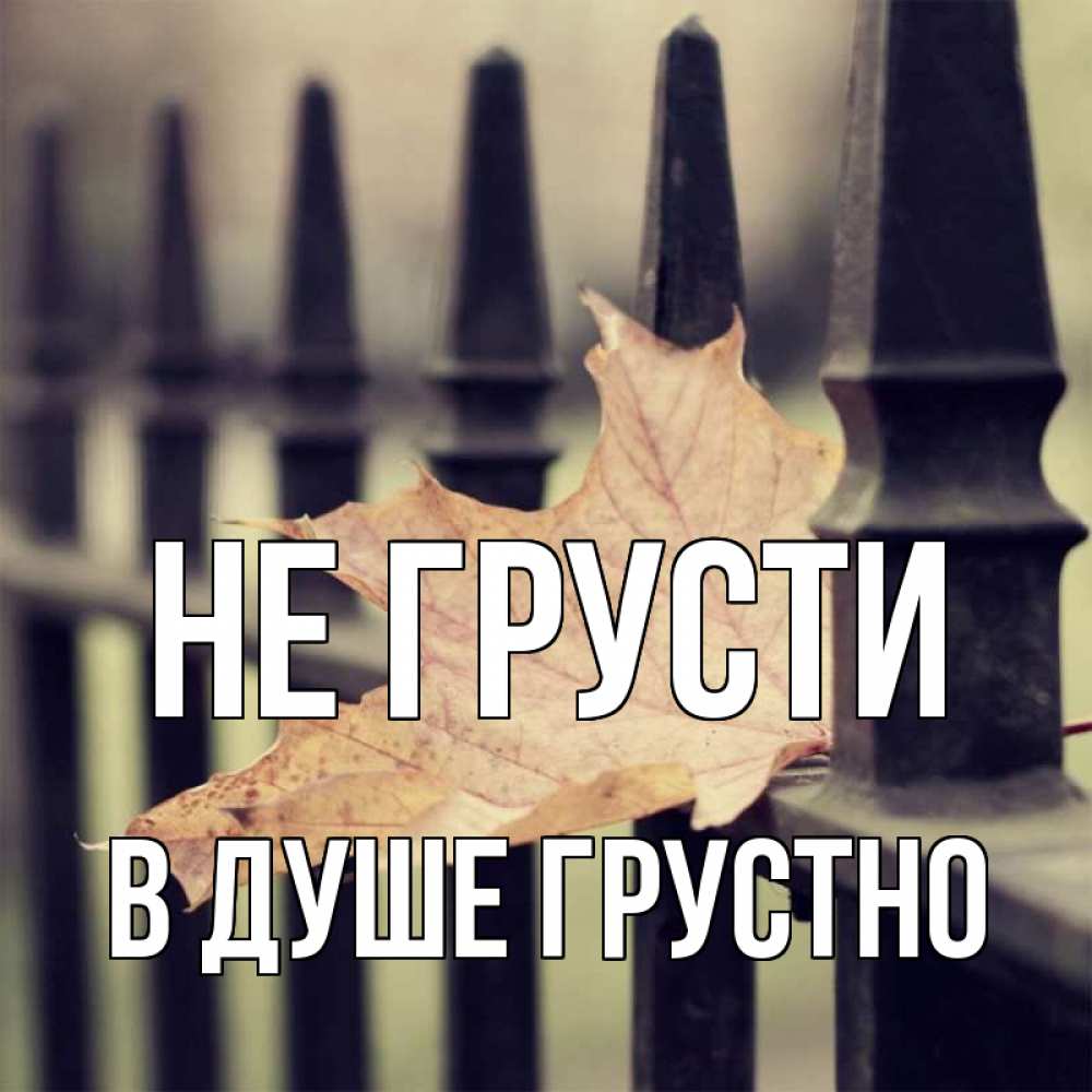 Открытка на каждый день с именем, В-душе-грустно Не грусти лист клена Прикольная открытка с пожеланием онлайн скачать бесплатно 