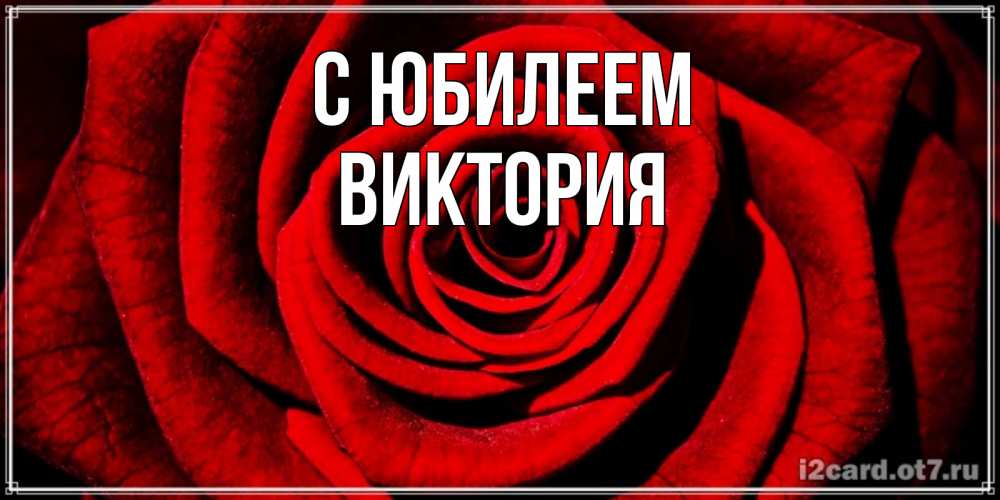 Открытка на каждый день с именем, Виктория С юбилеем алая роза Прикольная открытка с пожеланием онлайн скачать бесплатно 