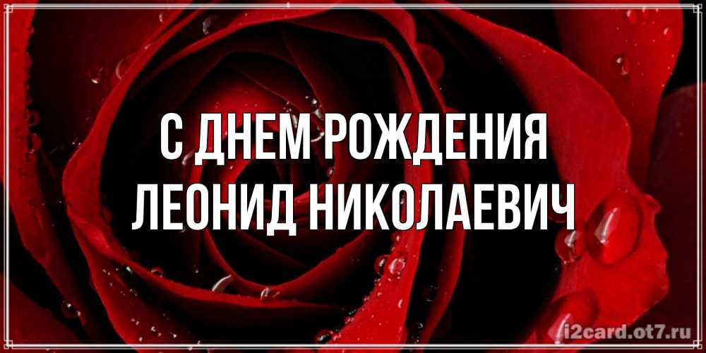 Открытка на каждый день с именем, Леонид-Николаевич С днем рождения крупная бордовая роза Прикольная открытка с пожеланием онлайн скачать бесплатно 