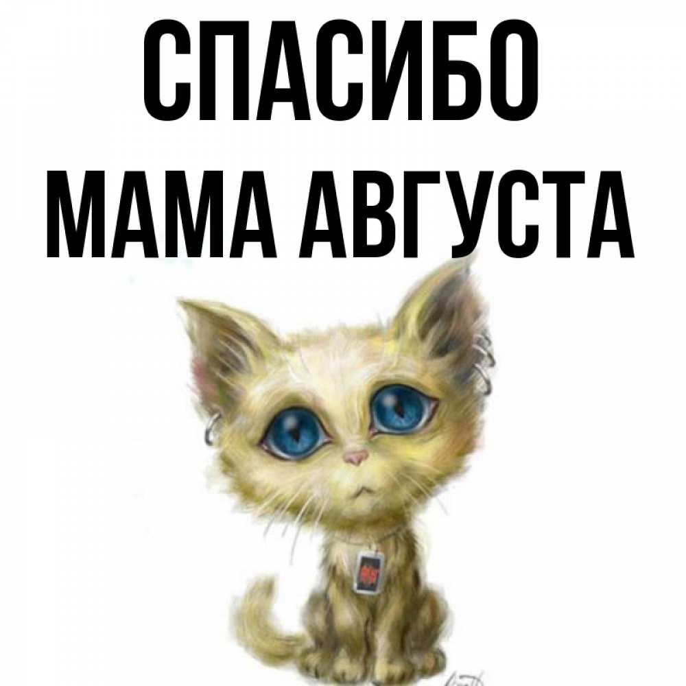 Открытка на каждый день с именем, Мама-Августа Спасибо рисованный кот благодарит вас Прикольная открытка с пожеланием онлайн скачать бесплатно 