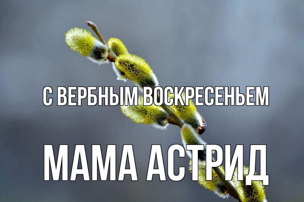 Открытка на каждый день с именем, Мама-Астрид С вербным воскресеньем верба Прикольная открытка с пожеланием онлайн скачать бесплатно 