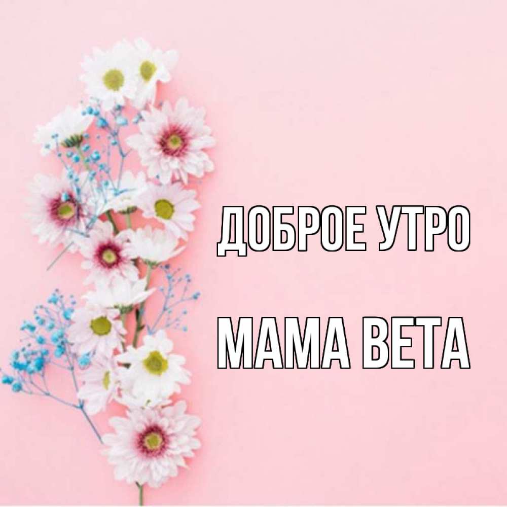 Открытка на каждый день с именем, Мама-Вета Доброе утро цветы с подписью Прикольная открытка с пожеланием онлайн скачать бесплатно 