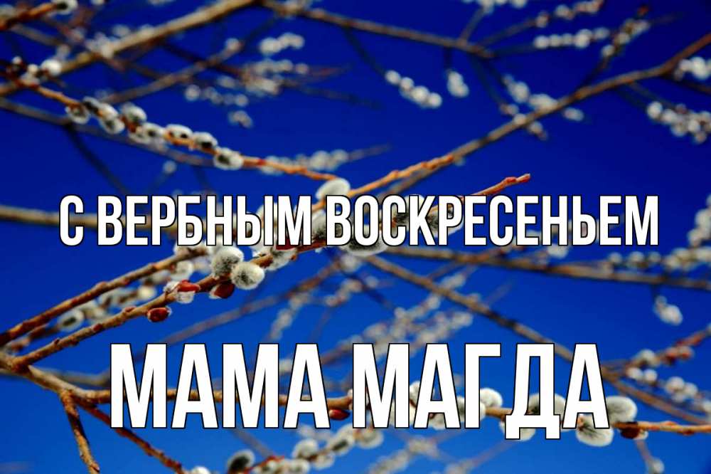 Открытка на каждый день с именем, Мама-Магда С вербным воскресеньем верба Прикольная открытка с пожеланием онлайн скачать бесплатно 
