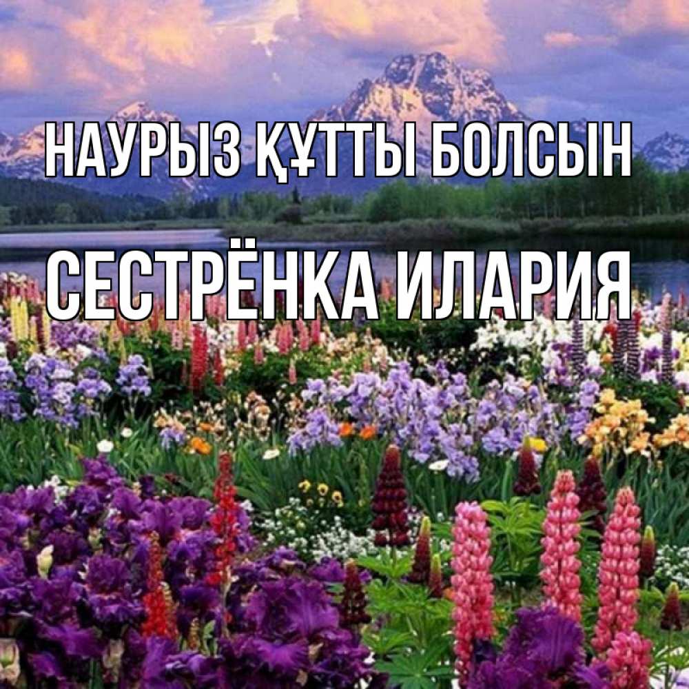 Открытка на каждый день с именем, Сестрёнка-Илария Наурыз құтты болсын наурыз Прикольная открытка с пожеланием онлайн скачать бесплатно 