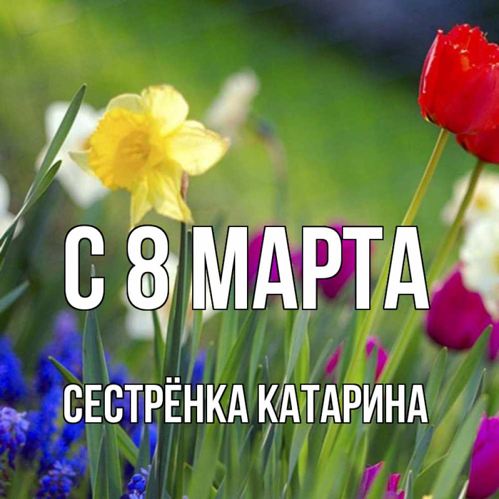 Открытка на каждый день с именем, Сестрёнка-Катарина С 8 МАРТА международный женский день 3 Прикольная открытка с пожеланием онлайн скачать бесплатно 