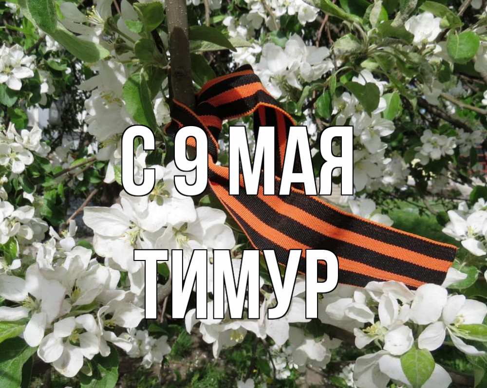 Открытка на каждый день с именем, Тимур С 9 мая 9 мая Прикольная открытка с пожеланием онлайн скачать бесплатно 