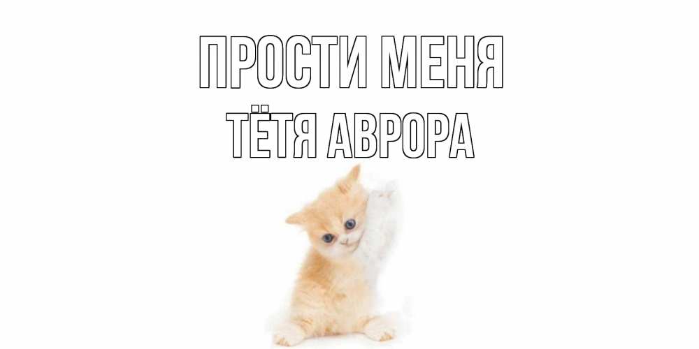 Открытка на каждый день с именем, Тётя-Аврора Прости меня кот Прикольная открытка с пожеланием онлайн скачать бесплатно 