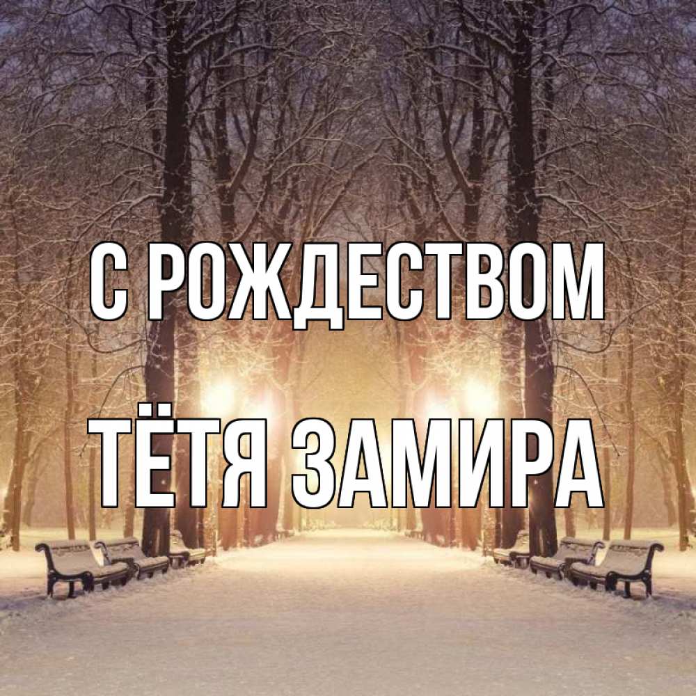 Открытка на каждый день с именем, Тётя-Замира С рождеством зима, парк, фонарь, лес Прикольная открытка с пожеланием онлайн скачать бесплатно 