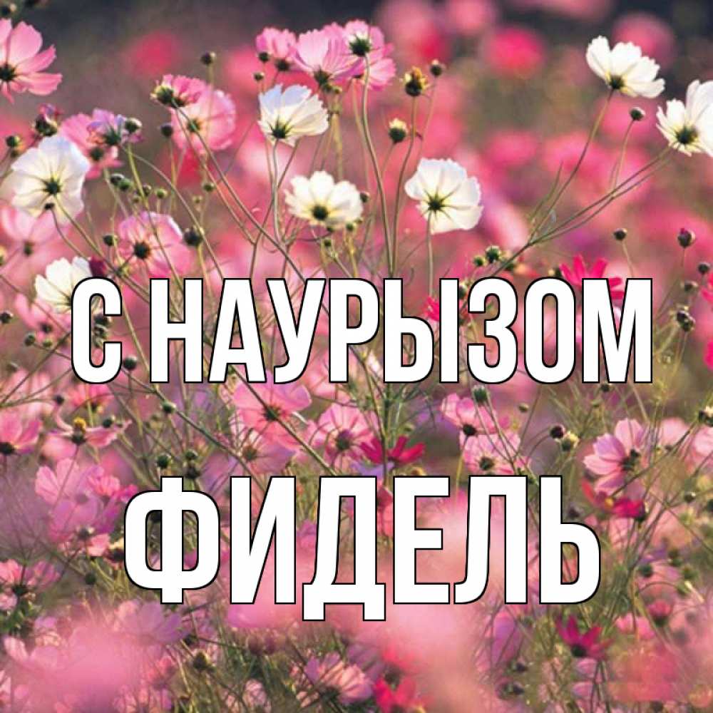 Открытка на каждый день с именем, Фидель С наурызом красиво 1 Прикольная открытка с пожеланием онлайн скачать бесплатно 