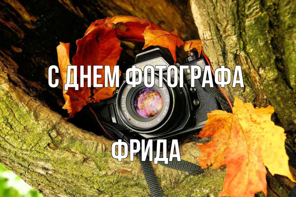 Открытка на каждый день с именем, Фрида С днем фотографа с днем фотографа 1 Прикольная открытка с пожеланием онлайн скачать бесплатно 