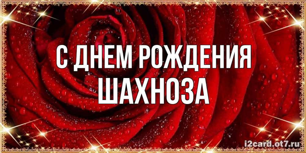 Открытка на каждый день с именем, Шахноза С днем рождения роса на розе блестящая в лучах солнца Прикольная открытка с пожеланием онлайн скачать бесплатно 