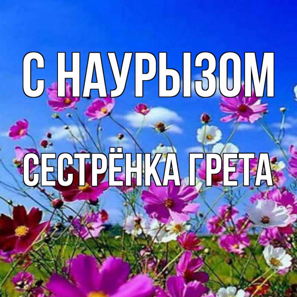 Открытка на каждый день с именем, Сестрёнка-Грета С наурызом цветы Прикольная открытка с пожеланием онлайн скачать бесплатно 