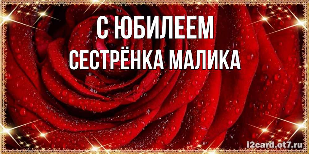 Открытка на каждый день с именем, Сестрёнка-Малика С юбилеем роса на розе блестящая в лучах солнца Прикольная открытка с пожеланием онлайн скачать бесплатно 