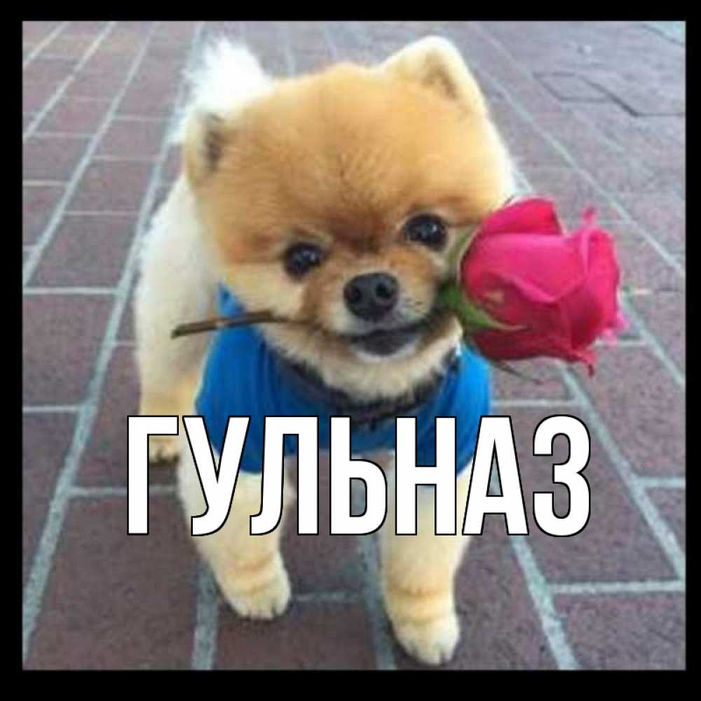 Картинка  с именем , Гульназ