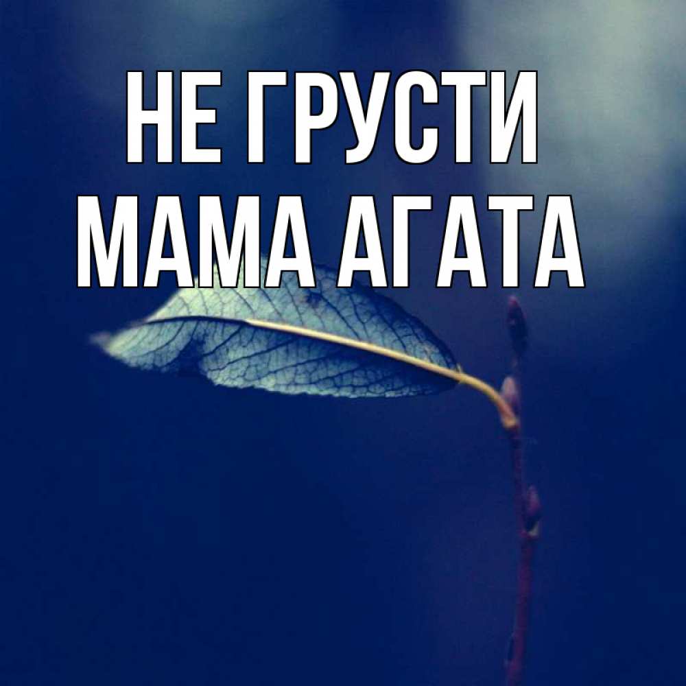 Открытка на каждый день с именем, Мама-Агата Не грусти растение Прикольная открытка с пожеланием онлайн скачать бесплатно 