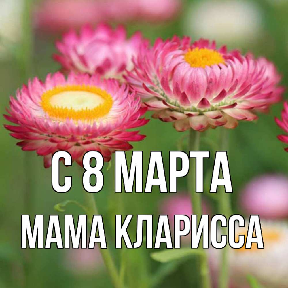 Открытка на каждый день с именем, Мама-Кларисса С 8 МАРТА подарок на международный женский день Прикольная открытка с пожеланием онлайн скачать бесплатно 