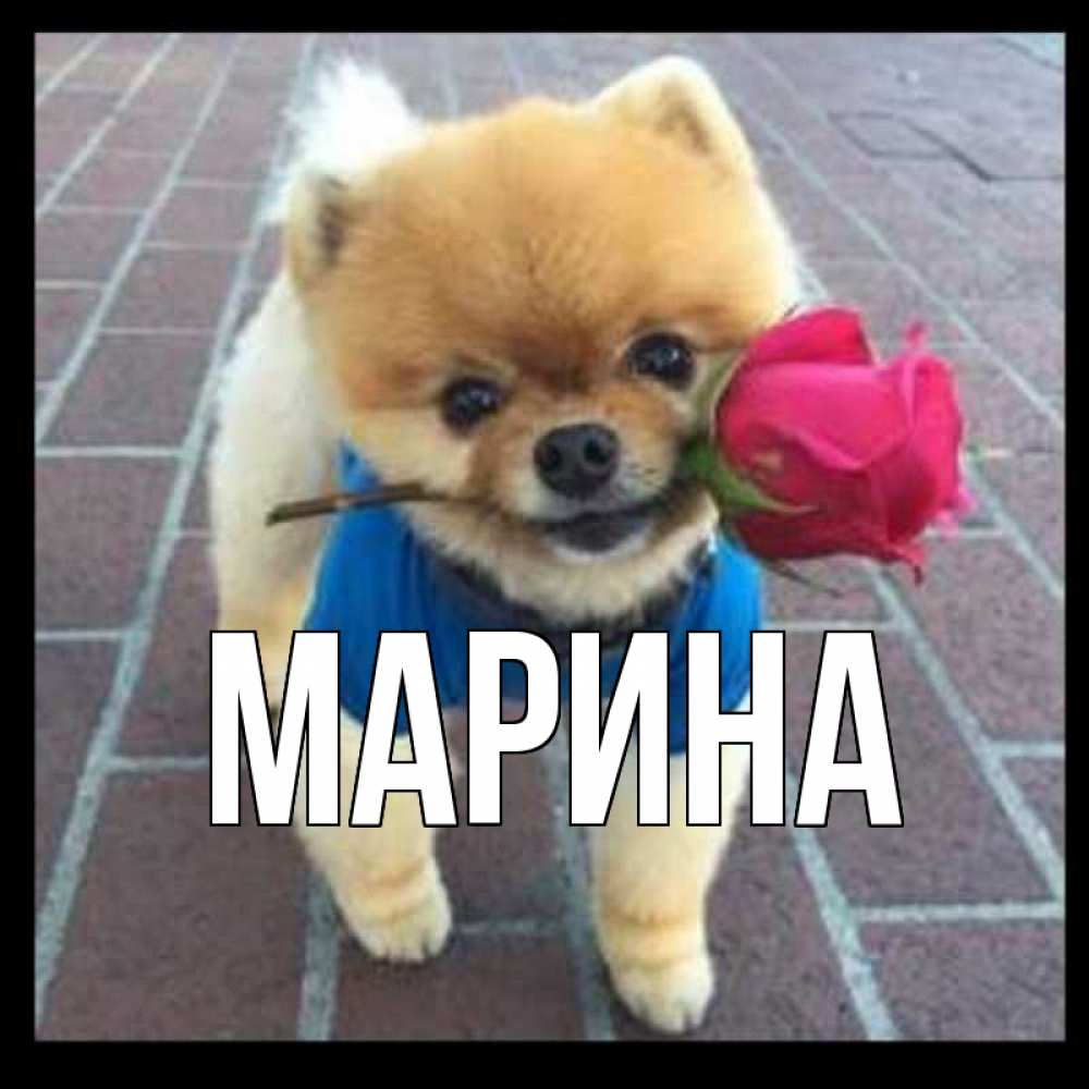 Картинка  с именем , Марина