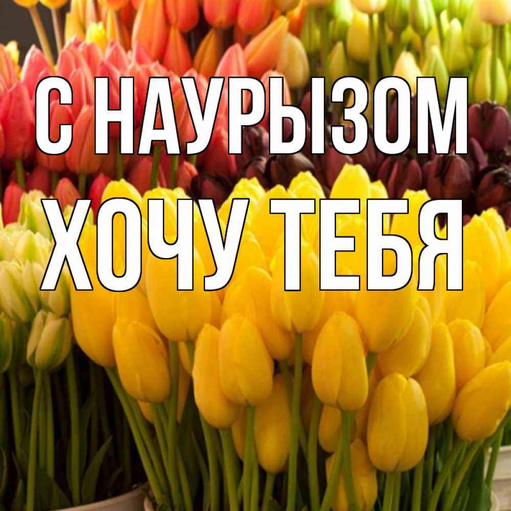 Картинка С наурызом, Хочу тебя