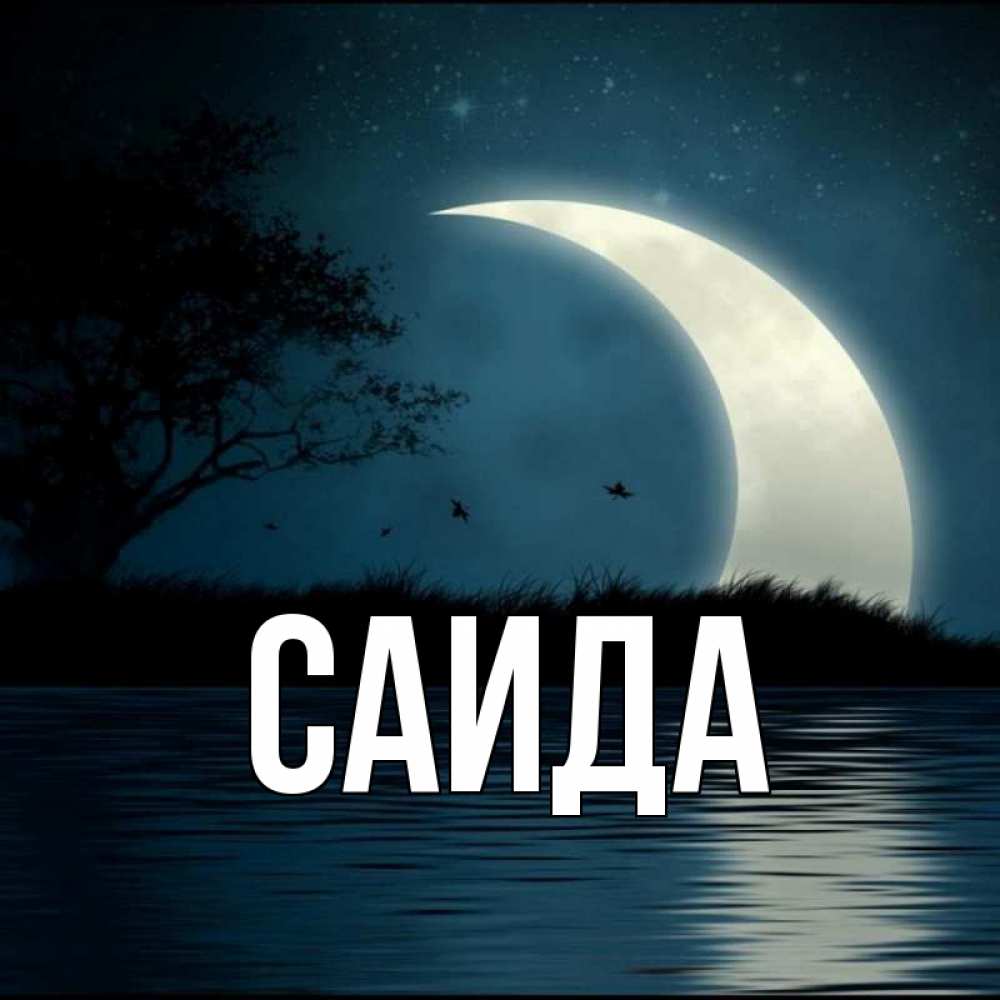 Имя саид